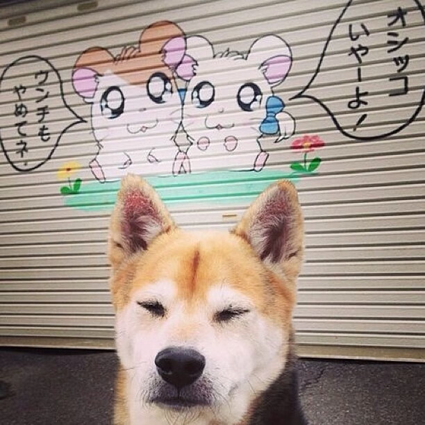 开云体育娱乐-体育社会组织能力建设大会成功举办，体育社会组织发展历程