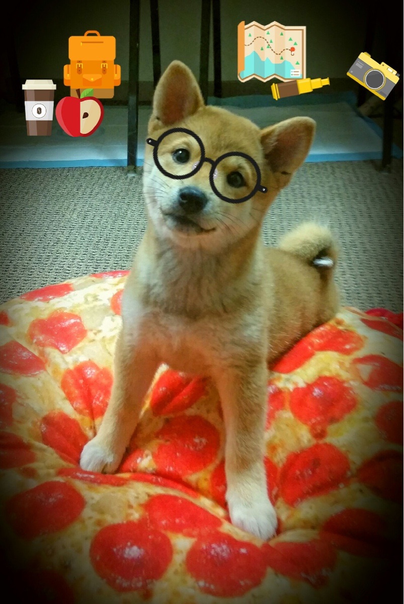 开云体育娱乐-国家队教练组协作效率是否足够,国家队教练组协作效率是否足够了