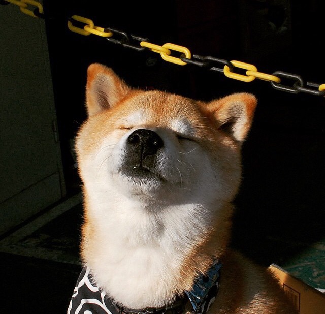 开运体育电脑版-伊利亚·哈伦赛场表现备受瞩目,伊哈塔伦集锦