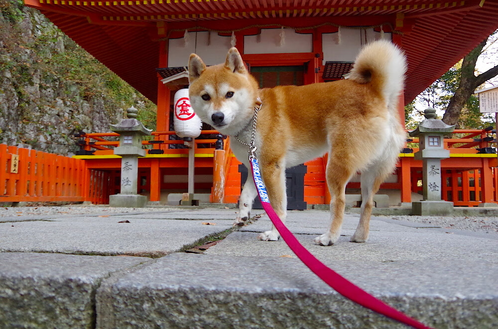 开云体育-德甲激情迸发:攻势凌厉,防守坚不可摧,德甲名场面