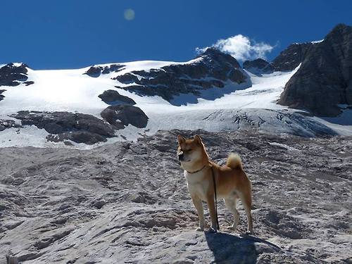 开云体育平台-意甲联赛的资料数据库建设,意甲球队数据