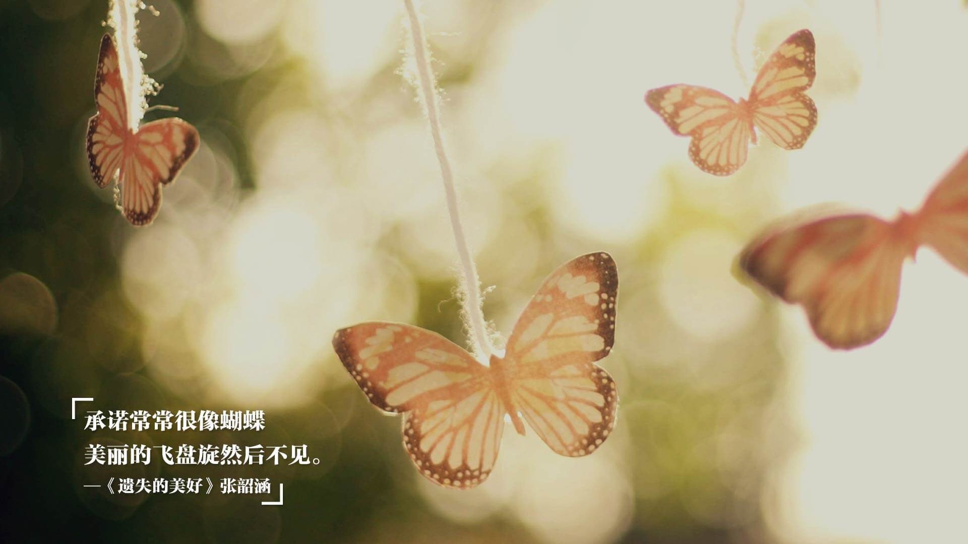 开云官方网-欧洲杯决战场:战术变化引领新潮流!,欧洲杯决赛赛前分析